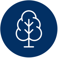 icon tree